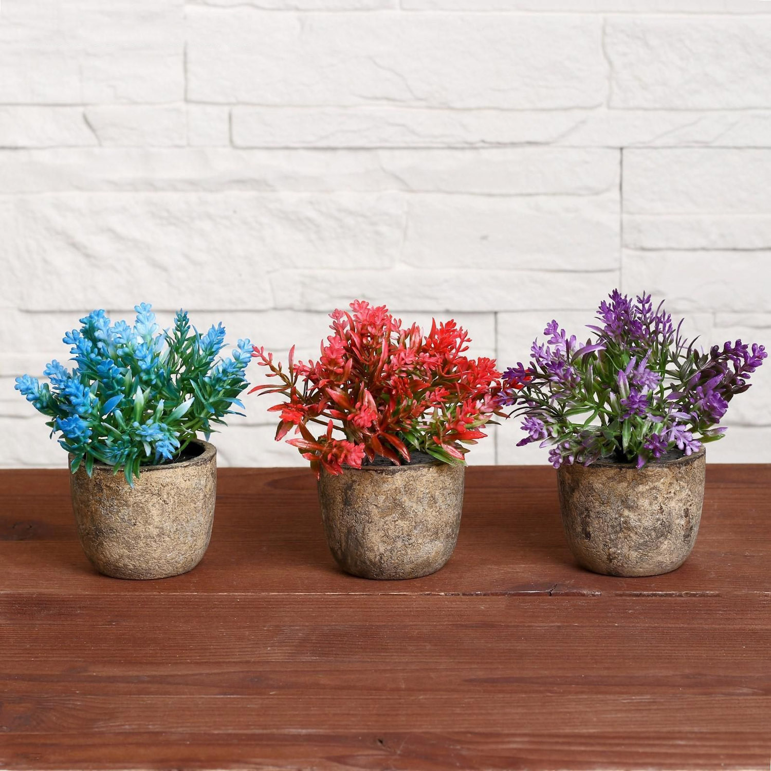 Бонсай "Седум" 6*10 см, микс   4293933 Бонсай "Седум" 6*10 см, микс   4293933