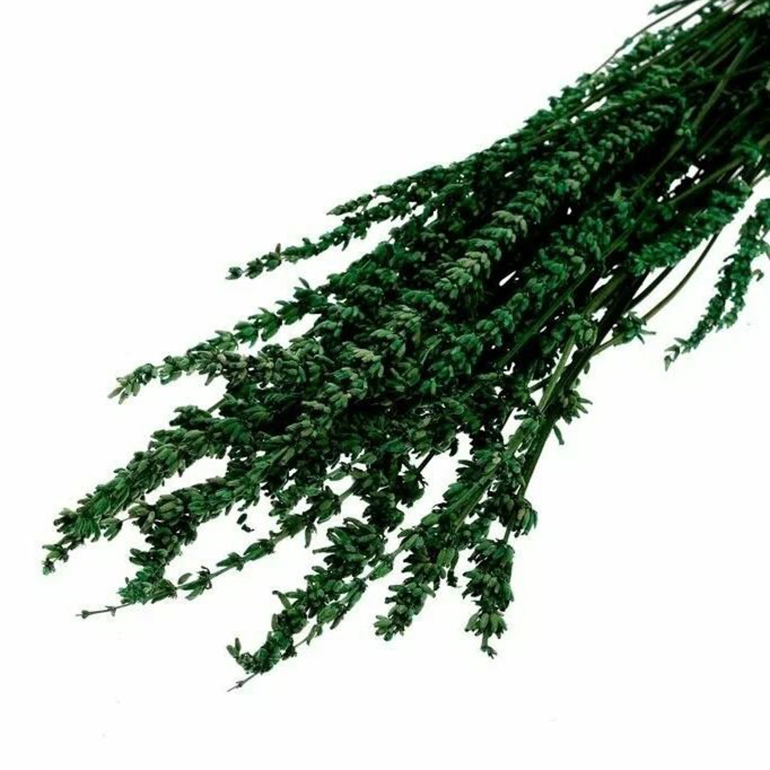 Сухоцвет Лаванда узколистная, зеленый, 50 -100 г в упаковке   7749544