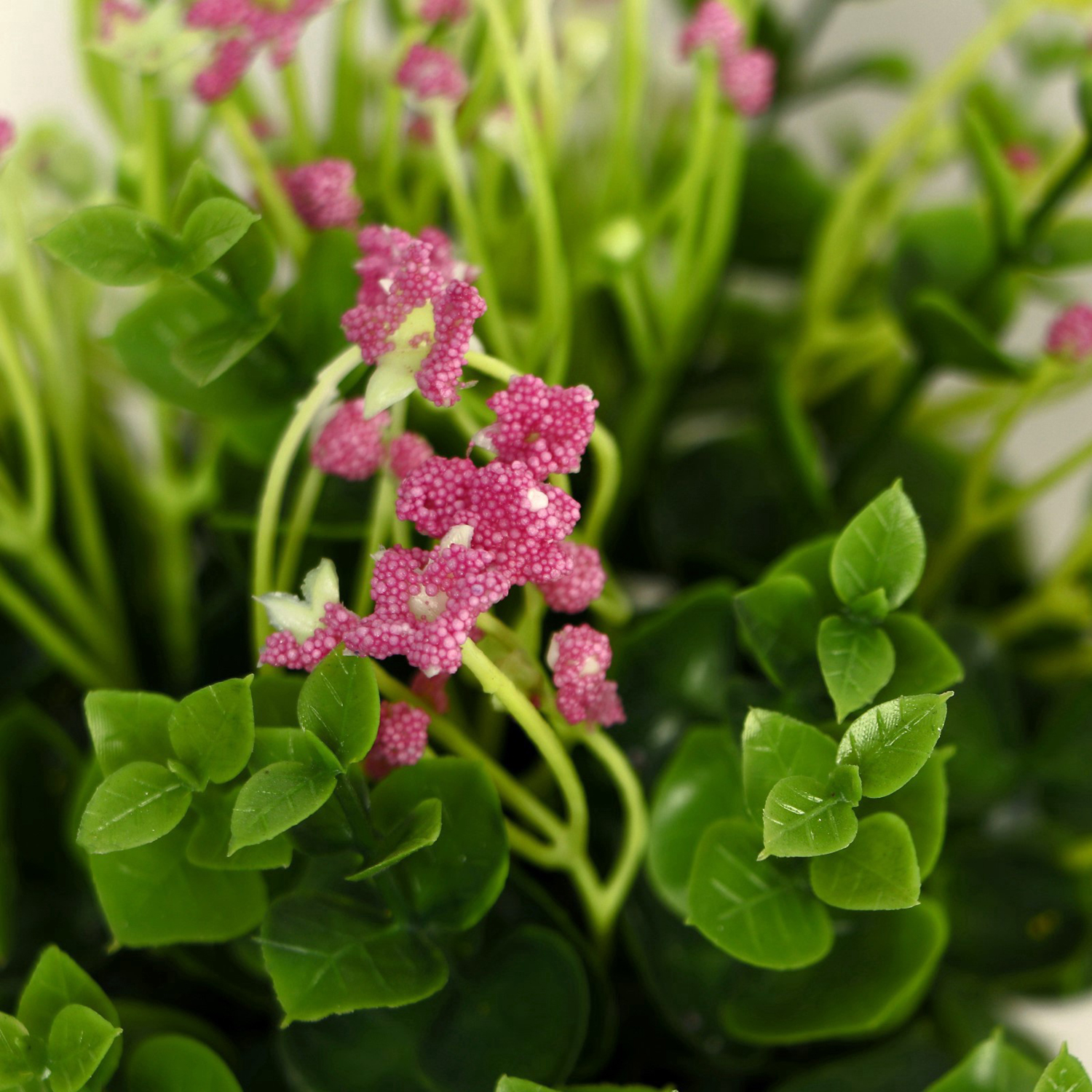 Бонсай в горшке "Фиалка химера" 8х17 см, микс 9750527