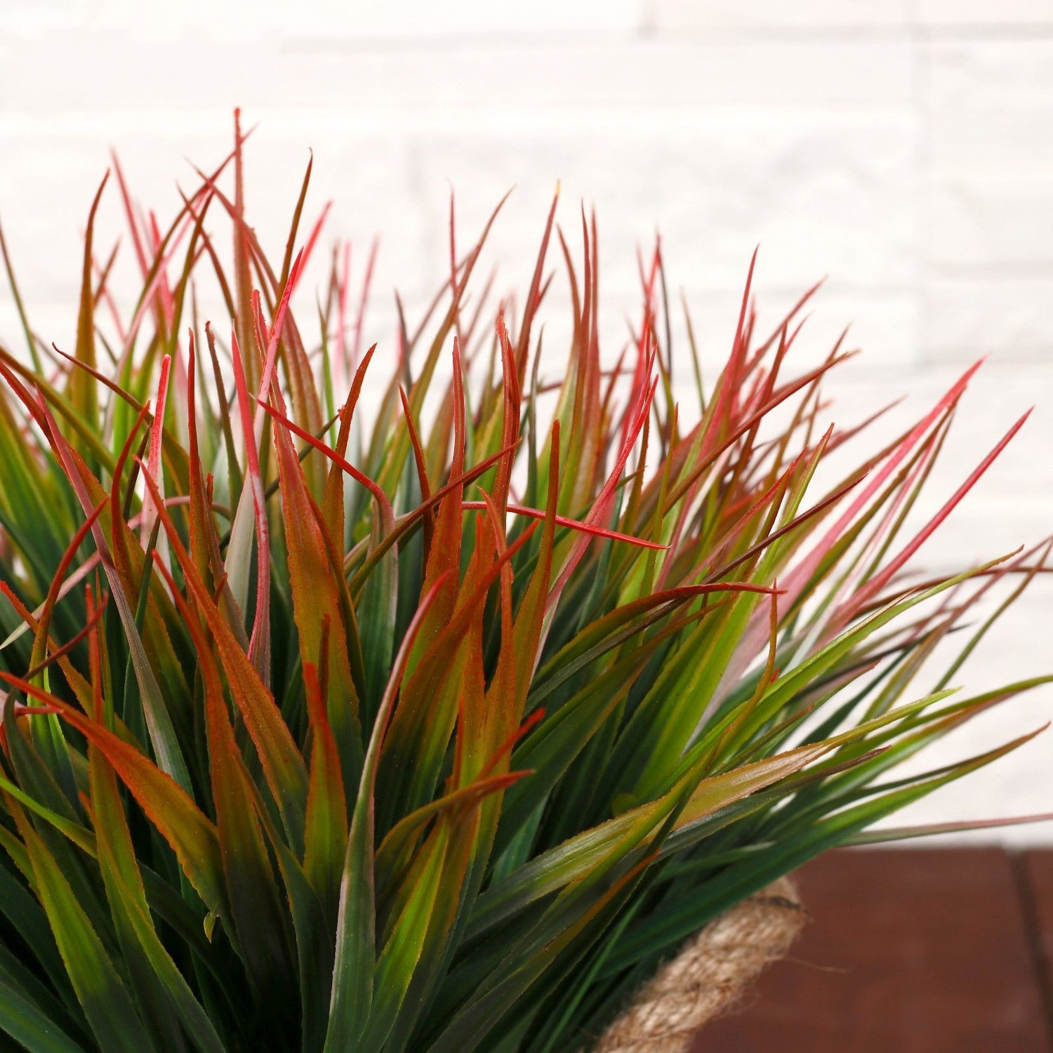 Бонсай в горшке "Садовый рай" осока 11*22 см  4142820