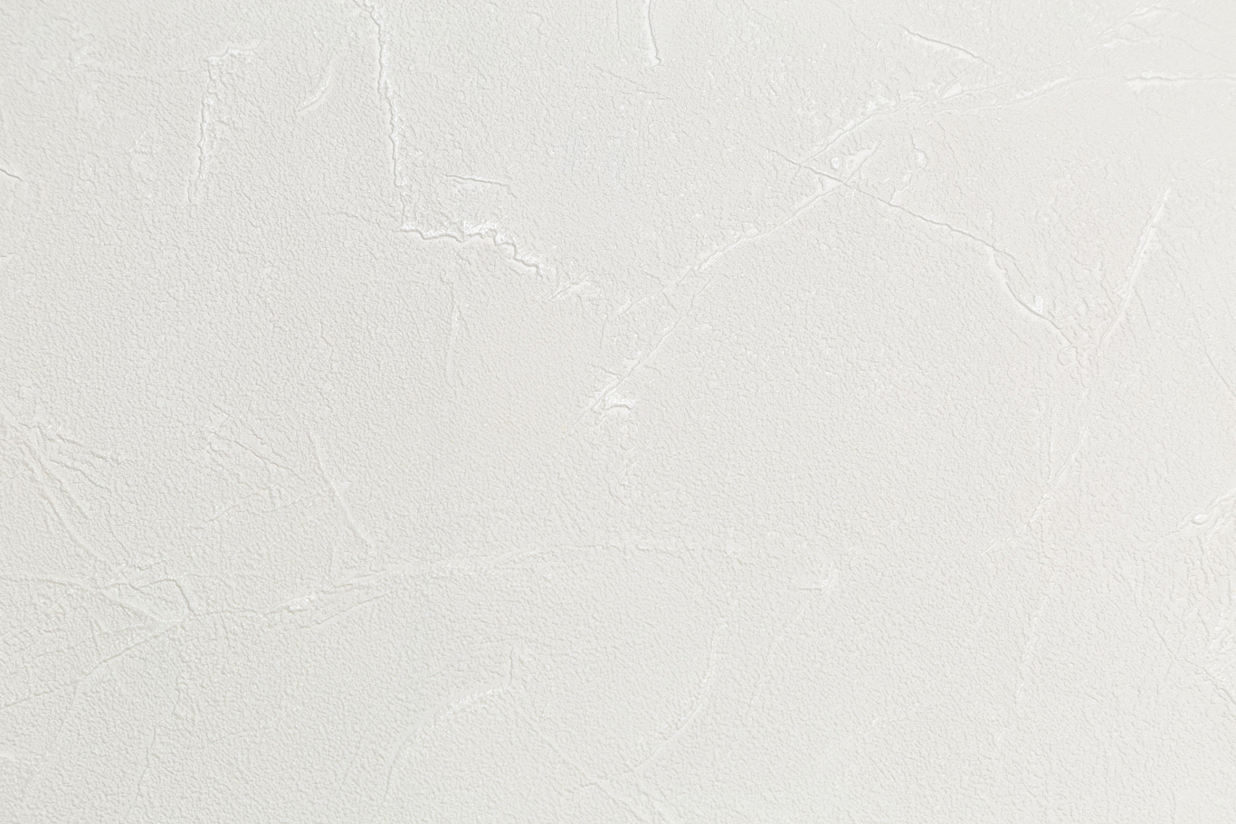 Обои флиз "Палитра" 10 ВВ ГТ PL72010-11 1,06*10м *1/6