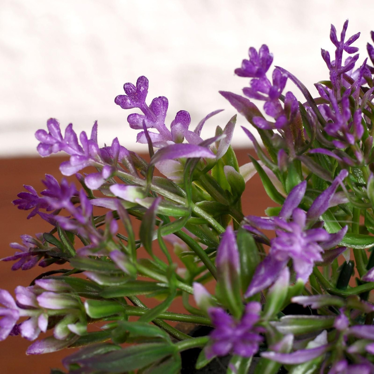 Бонсай "Седум" 6*10 см, микс   4293933 Бонсай "Седум" 6*10 см, микс   4293933