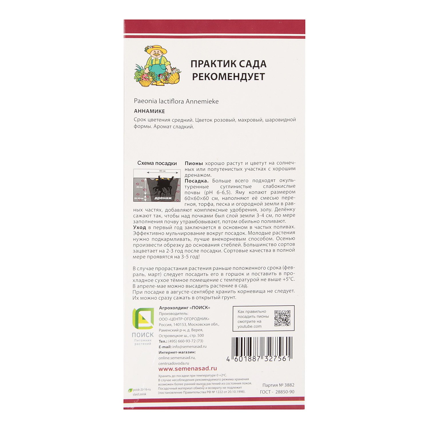 Пион молочноцветковый Аннамике 1шт