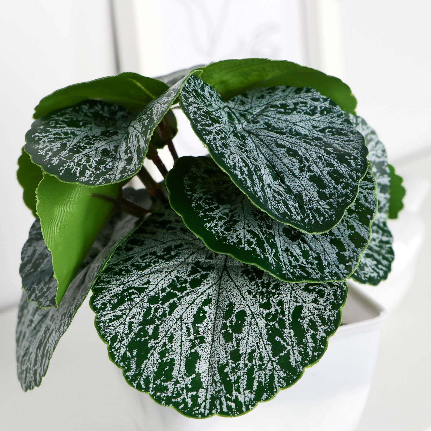 Бонсай в горшке "Бегония" 7х13 см   9789703