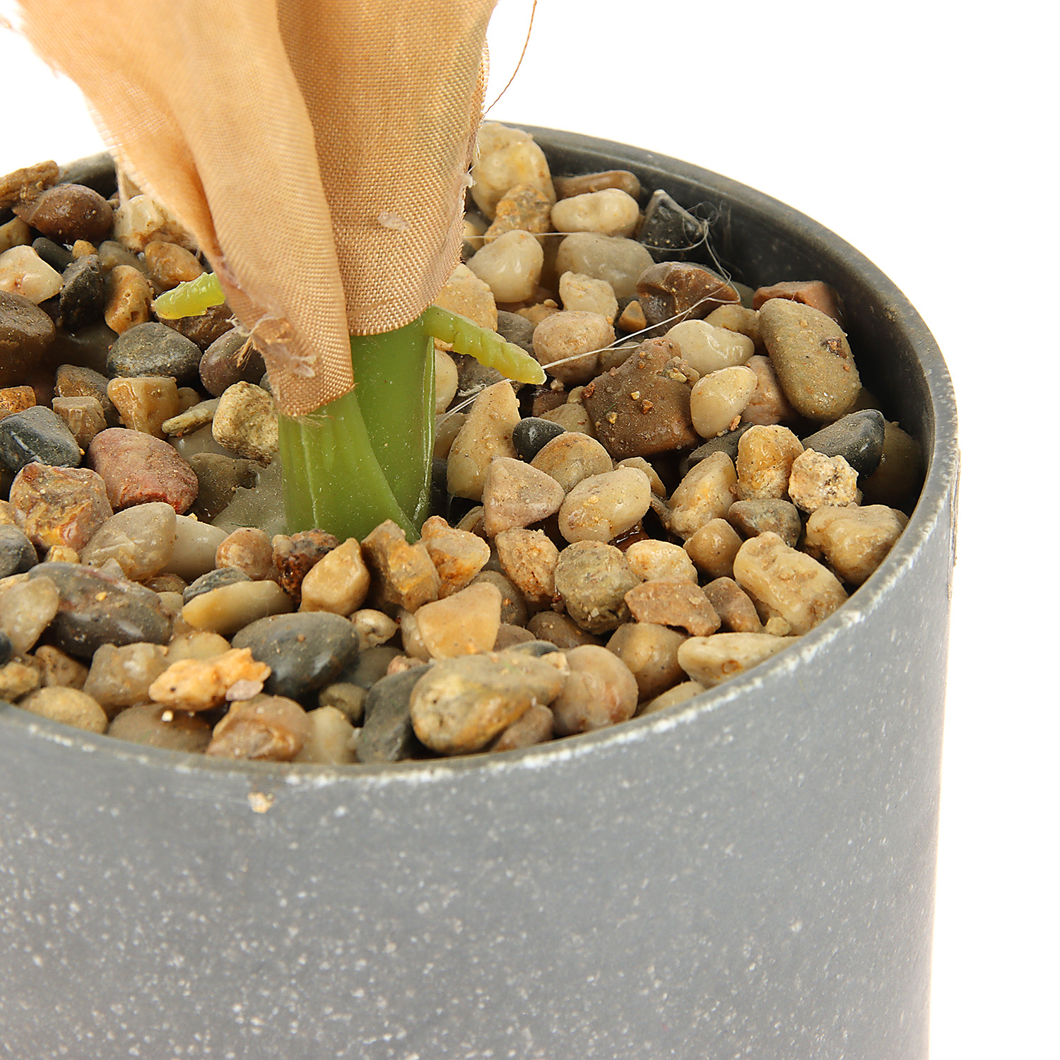 Бонсай в горшке "Диффенбахия" 9х33 см 9750510 Бонсай в горшке "Диффенбахия" 9х33 см 9750510