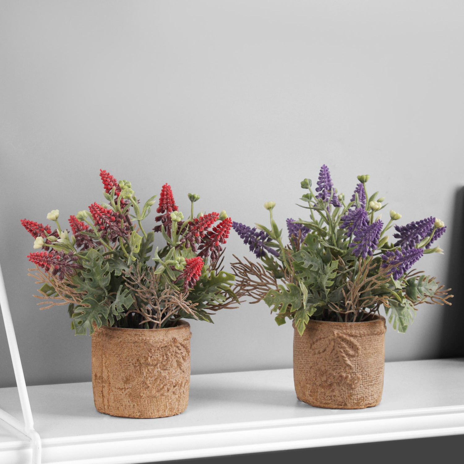 Бонсай "Люпин экстра" 8х18 см, микс   10325078