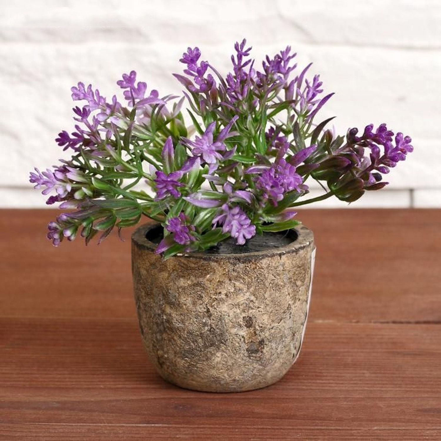 Бонсай "Седум" 6*10 см, микс   4293933 Бонсай "Седум" 6*10 см, микс   4293933