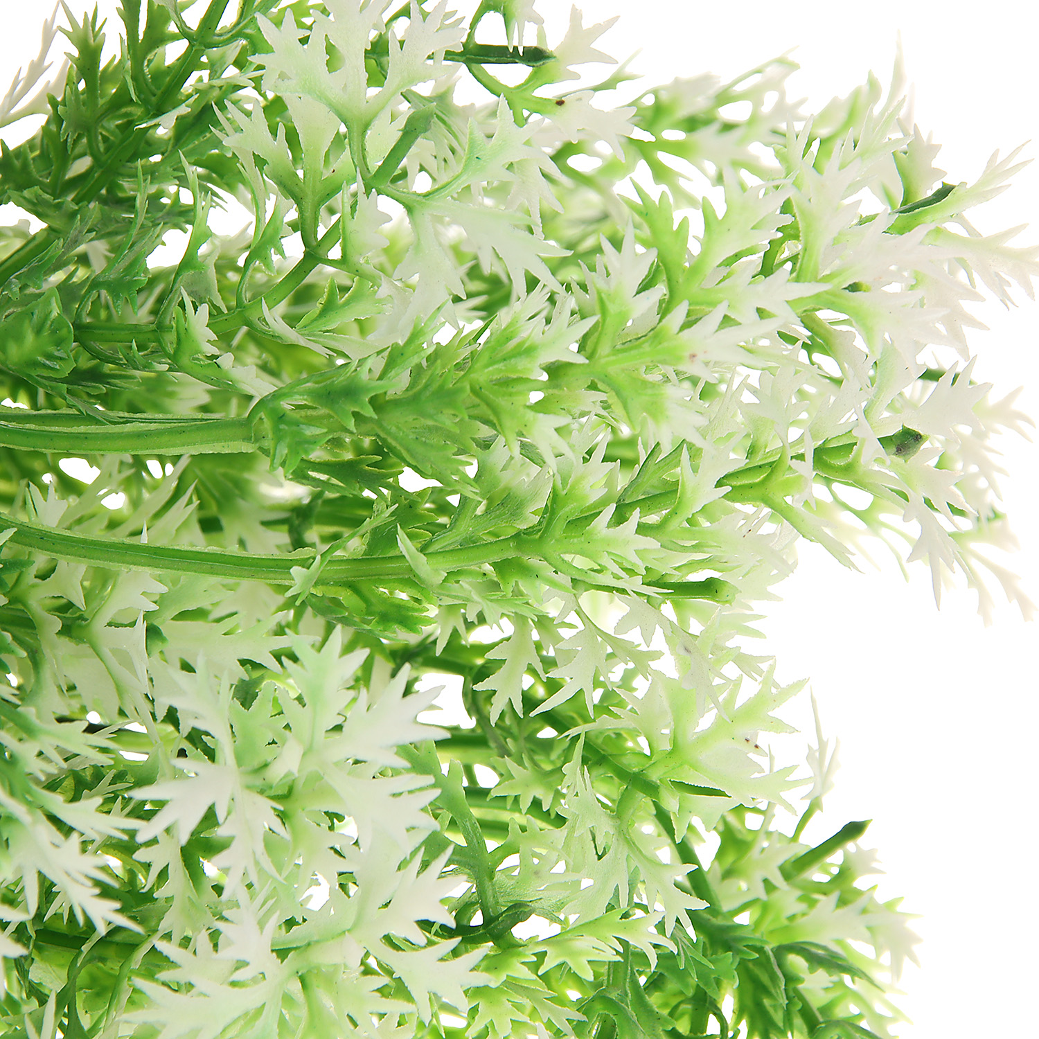 Букет "Аспарагус галант" 29 см, бело-зелёный   9229372