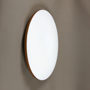 Светильник светодиодный акриловый 450мм 40W FS 6/40W LED 1 реж б/пульта S=15м2 *1/5