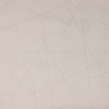 Обои флиз. "Эрисманн" Spectral Color 60623-04 10.05х1.06м *6