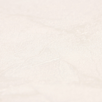 Обои флиз "Палитра" 10 ВВ ГТ PL72010-12 1,06*10м *1/6