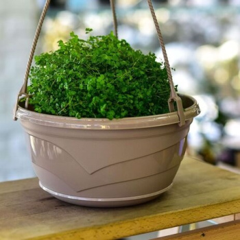 Кашпо пластм. подвесное "Венеция" 6л d верха285мм,с поддоном Беж.фраппе БЕЗ подвеса "5plast.ru"*1/10